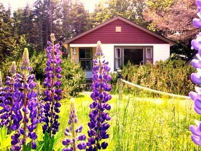 Goodview Cottages By Stanhope Beach Pei For Adults Only Exterior foto