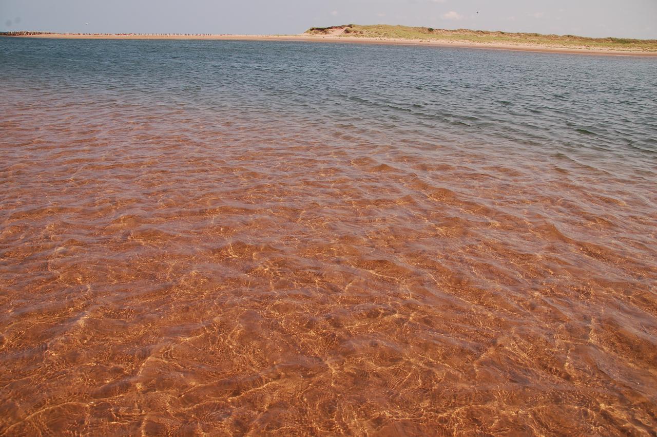 Goodview Cottages By Stanhope Beach Pei For Adults Only Exterior foto